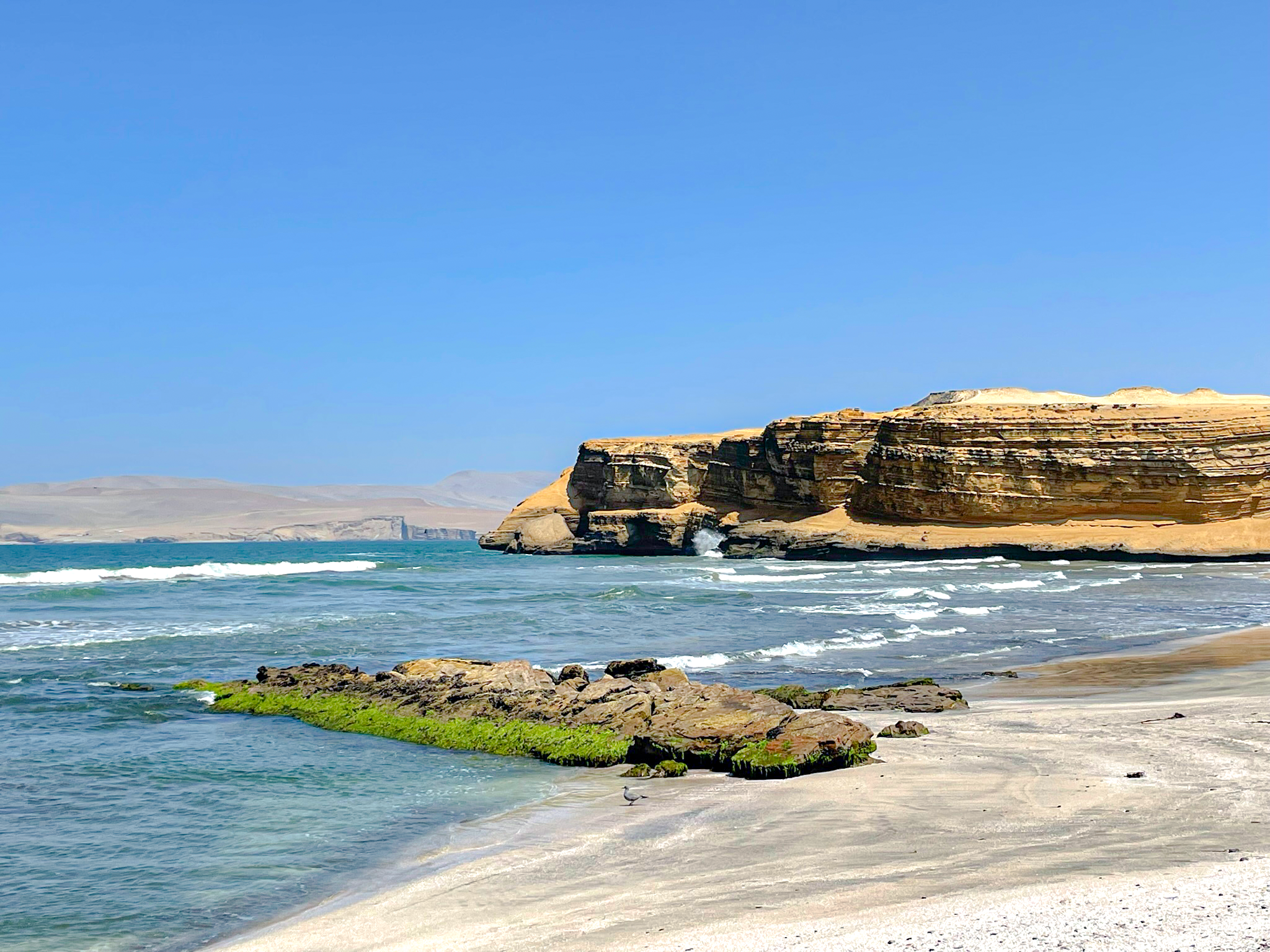 PARACAS